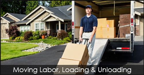 Moving Labor Loading Unloading